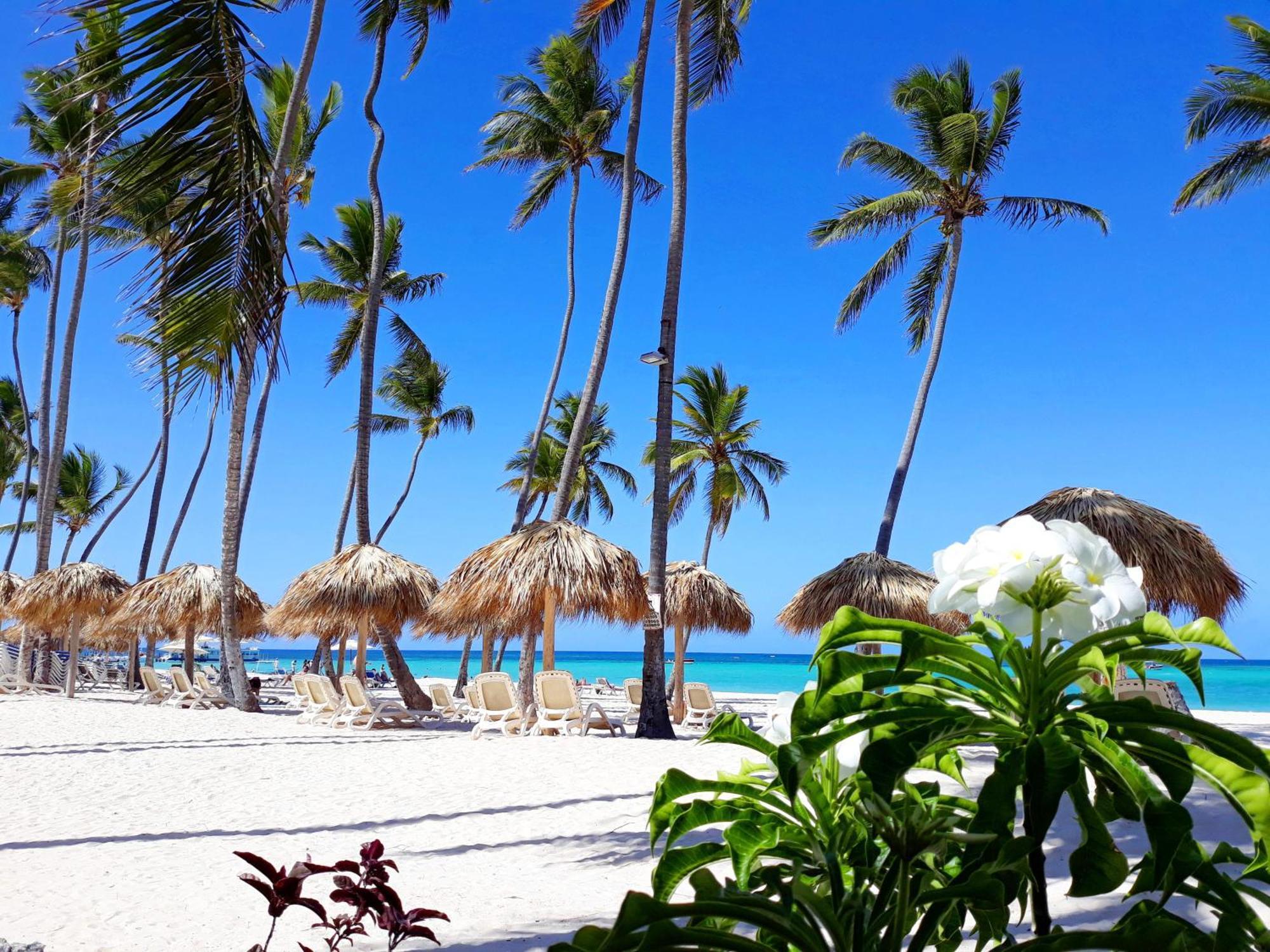 La Flor Del Caribe Beach & Spa Punta Cana Pokoj fotografie